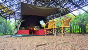 The Smiling Bushpig Eco Camp